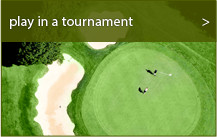 play in a tournament play in a tournament